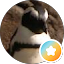 Mia Chang Avatar